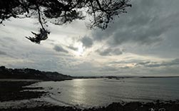 Photo d'une plage avec ciel gris