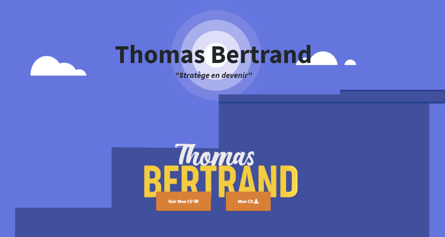 Capture de mon portfolio